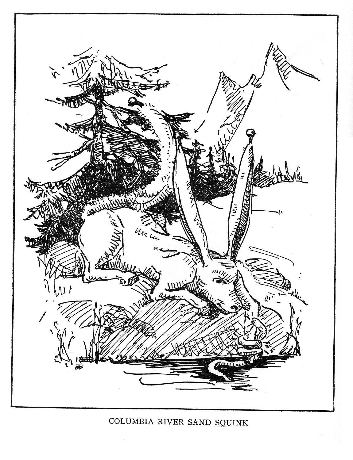 Columbia River Sand Squink.